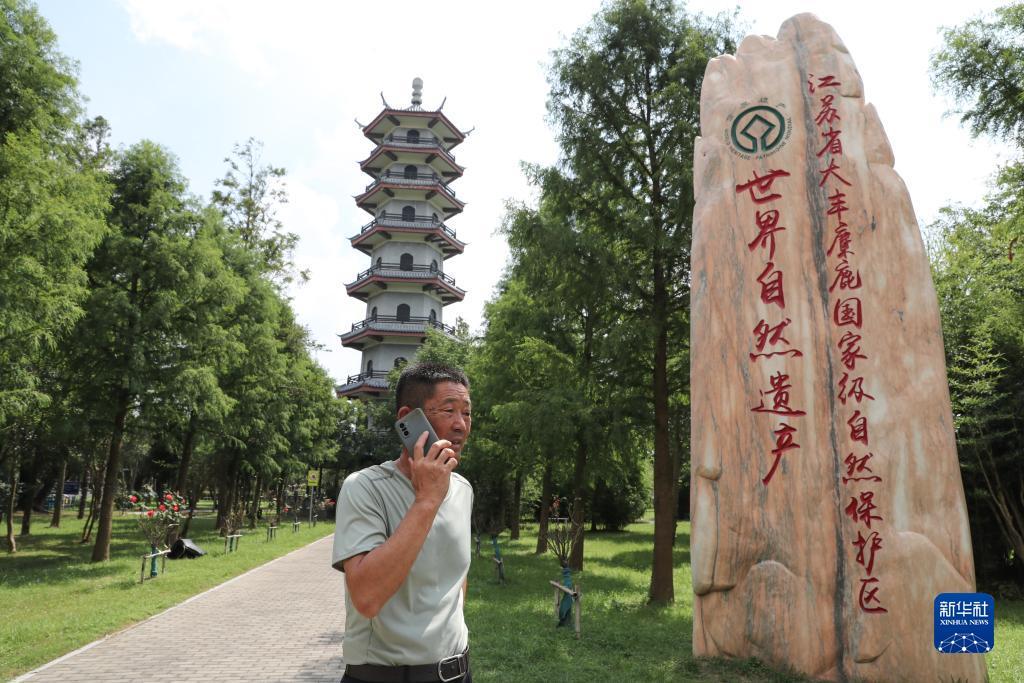 8888的是什么网站